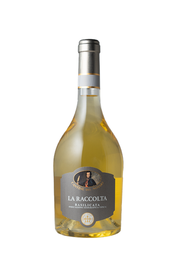 [ITBA0621] Raccolta 2021 Basilicata bianco Cantine del Notaio